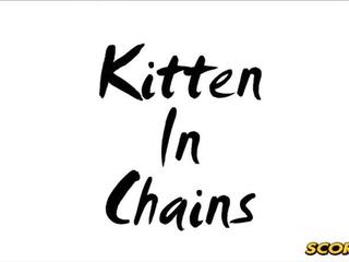 Kitten in chains