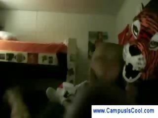 学院 玩偶 给 bjs