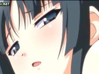 自信的 動漫 小雞 分享 大 啄木鳥