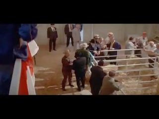 292 мамино детенце spacek & janit baldwin - на средна възраст рязане slav