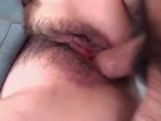 아시아의 비탄 털이 많은 고양이 엿 단단한 과 깊은 에 상세한 묘사