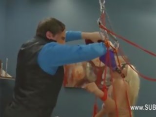 服从的 奴役，支配，虐待狂，受虐狂 交配 同 肛交 妓女