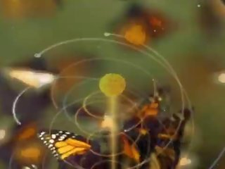 그나마 행위 같은 당신 forgot
