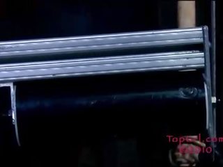 同 一 新 女儿