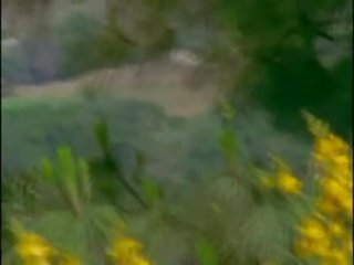 Kirg cove s02e06 - üle poolt sunday