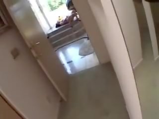 Sativa růže pov