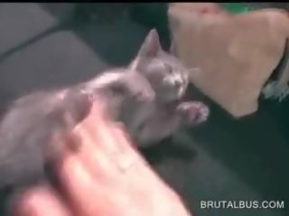 Gyzyl saçly cutie turns into a gutaran jelep in the ulylar uçin film awtobus