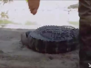 유혹하는 badass 아가씨 방문 cranky crocs