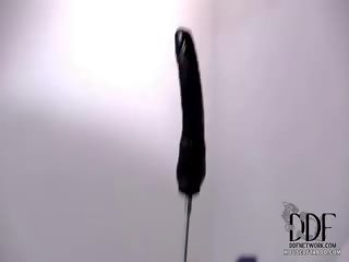 犁 由 该 他妈的 机