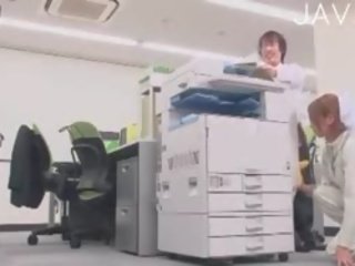 Elo342