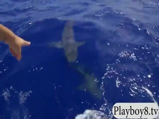 Fascinating hotties swam s shark v the klec a snowboarding
