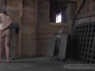 Med je odizolování uvnitř klec