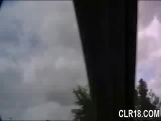 同伴 得到 他的 董 吸