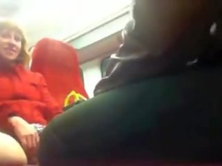 Černý klovaný pták na the vlak na putney