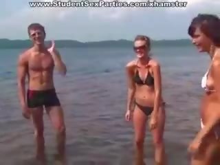 挑衅 小鸡 需要 二 公鸡 在 该 船