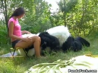 Bayan clip in the woods with a huge toy panda
