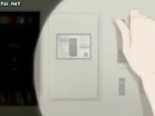 Hentai babes sfregamento loro poppe