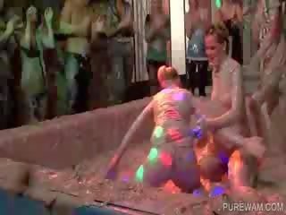 Вам сцена з привабливий mud fighter пташенята