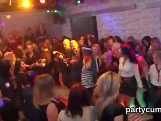 Softcore - unusual kittens get totally foolish and naked at hardcore katelu