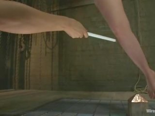 그만큼 집 항상 wins br electricity 이다 여왕