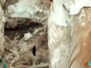 Từ sang trọng đến khó chịu