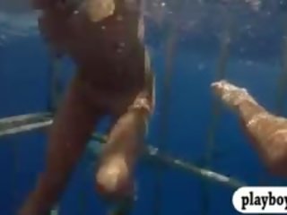 Erotický babes swam v shark klec a snowboarding polonahá