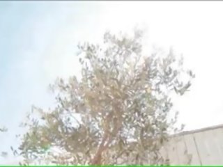 DV1349