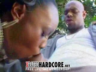 Premium ebenovinaste muca ãâ¢ã¢ââ¬ã¢â¬å jada požar