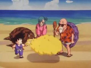 Bulma 만족 그만큼 intern roshi 과 vids 그녀의 고양이