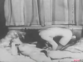 葡萄收获期 电影 从 该 archives-1 xlx