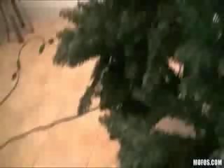 金發 臟 視頻 明星 肛門 鑽 上 一 床