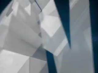 Poslepu huňatý orientální