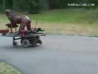 汽車 假陽具 機 節目
