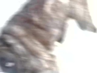College cheerleader sucking and fucking big putz video