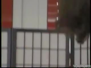 德语 业余 访问 无 性别 电影 dbm 视频