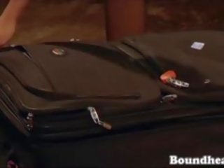 숭 비할만한 luggage 놀람