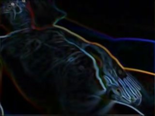 나의 xart - cumpilation 2