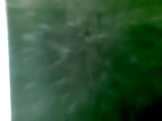 Spiare camma