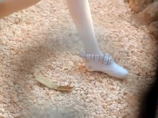 Ardous 打 的 一 嫪 屄