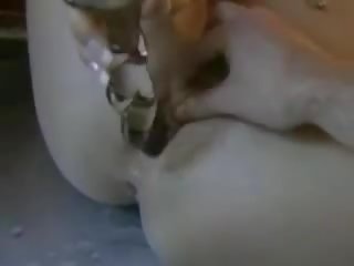 Tento kočička mohl boj požáry