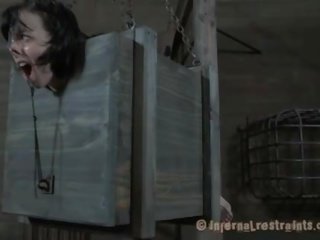 Demeaning a chained honey