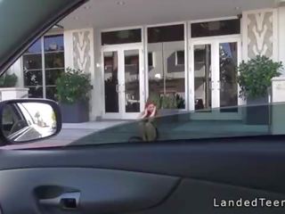 멕시코 양진이 비탄 hitchhiker 앞머리 낯선 사람 옥외