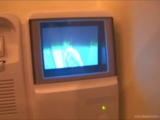 고양이 삽입 에 에이 화장실