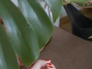 러시아의 정부 사용 거대한 유리 장난감