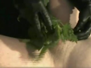 노예 도착 더러운 불알 stroked 로 한창 젊은 와 nettles