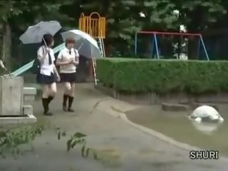 Sharking. 爱 日本