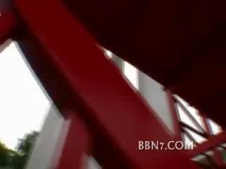 Shorthaired лялька adolescent