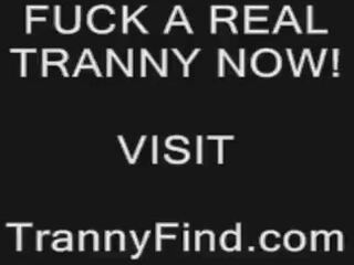 Dirty looking tranny jerks off