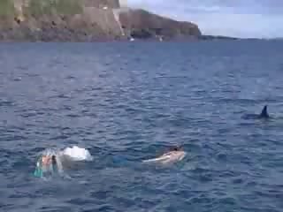 性別 電影 下 水 夾