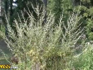 我的 朋友 和 我 去 到 该 countryside 到 黄褐色 和